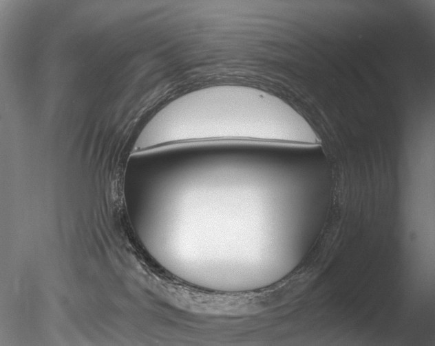 X0000078280044200611031028