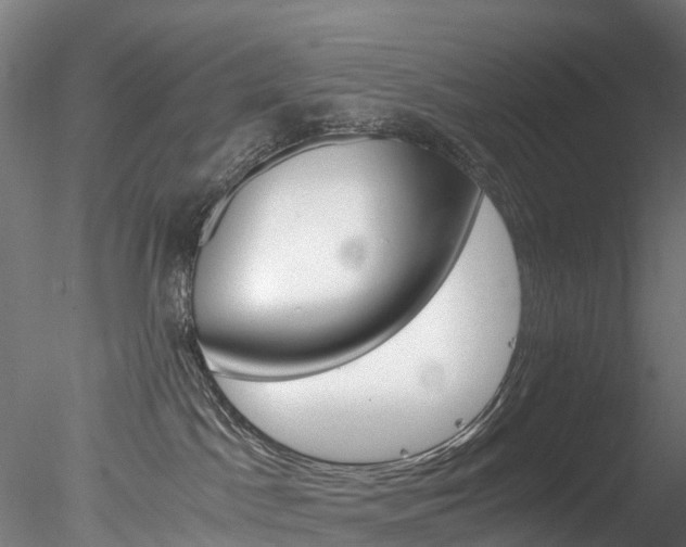 X0000078280045200611031028