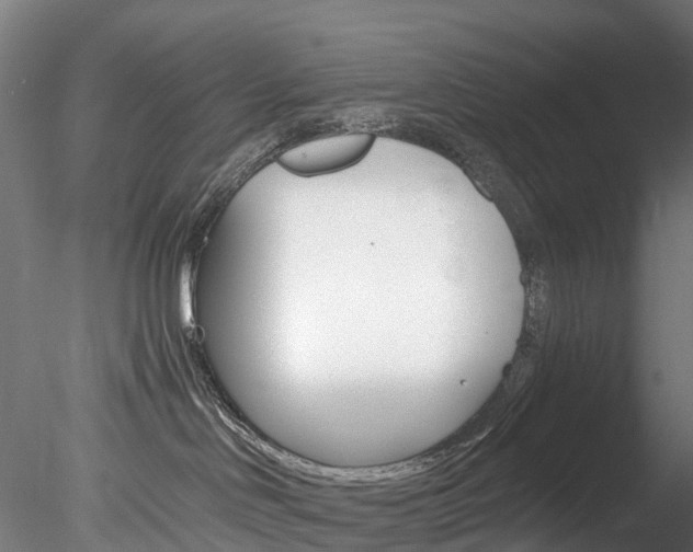 X0000078280046200611031028