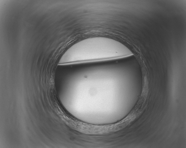 X0000078280048200611031028