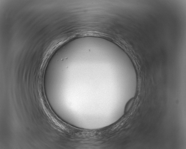 X0000078280049200611031027