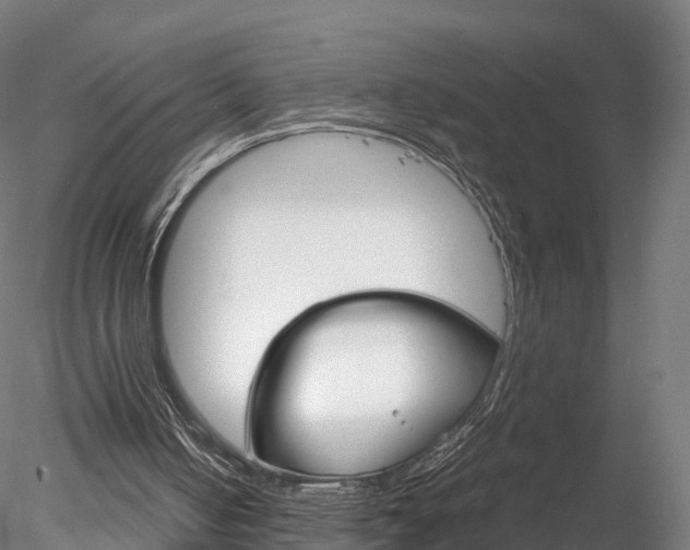 X0000078280050200611031027