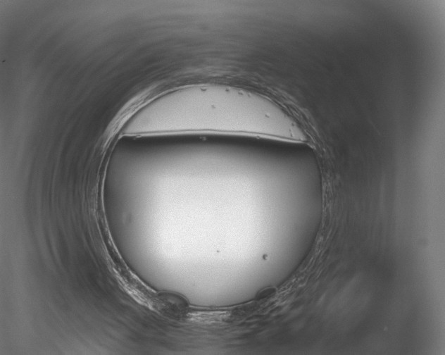 X0000078280051200611031027