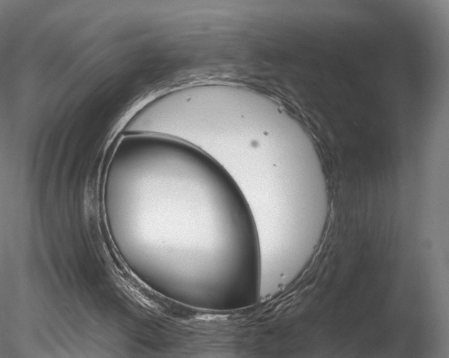 X0000078280052200611031027