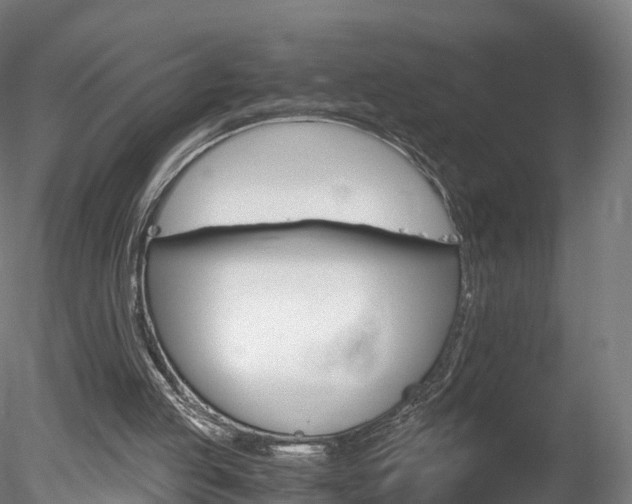 X0000078280053200611031027