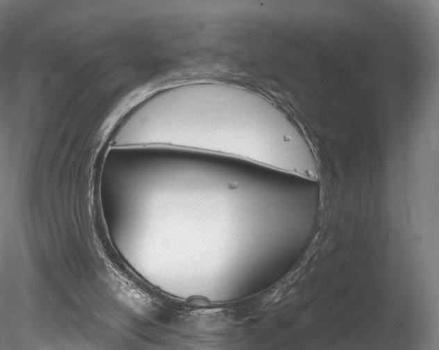 X0000078280054200611031027