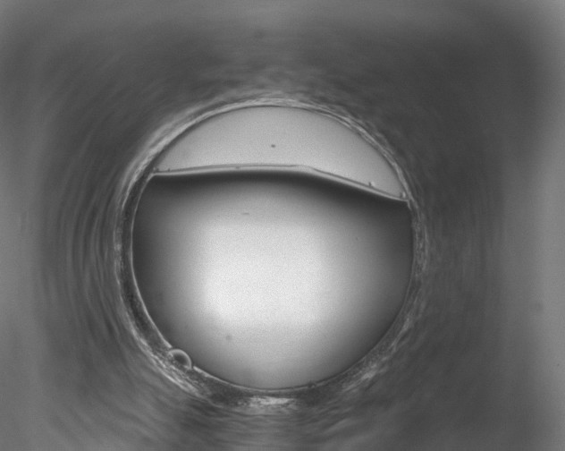 X0000078280055200611031027