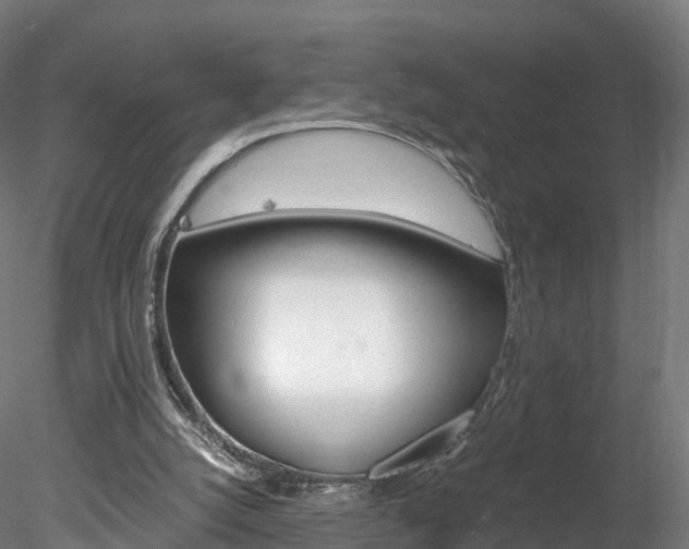 X0000078280056200611031027