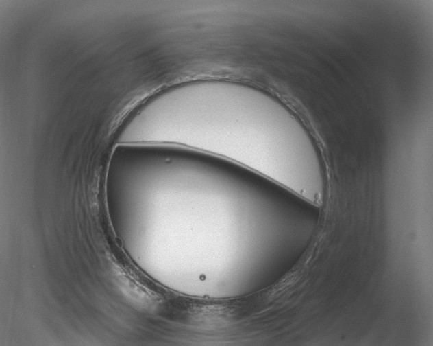 X0000078280058200611031027