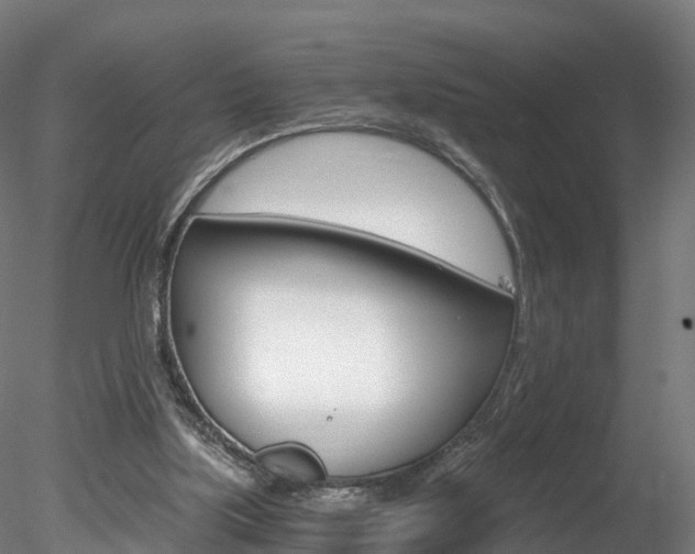 X0000078280059200611031027