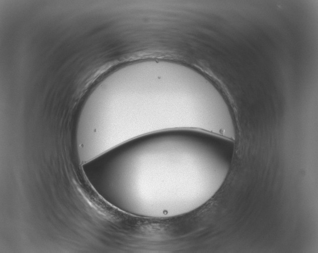 X0000078280062200611031027