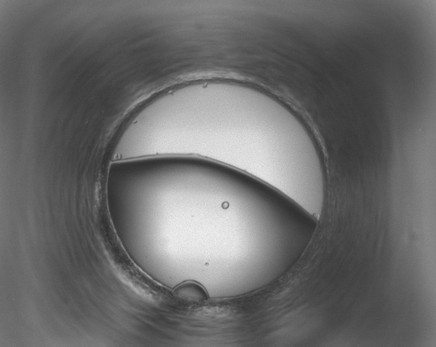 X0000078280063200611031027