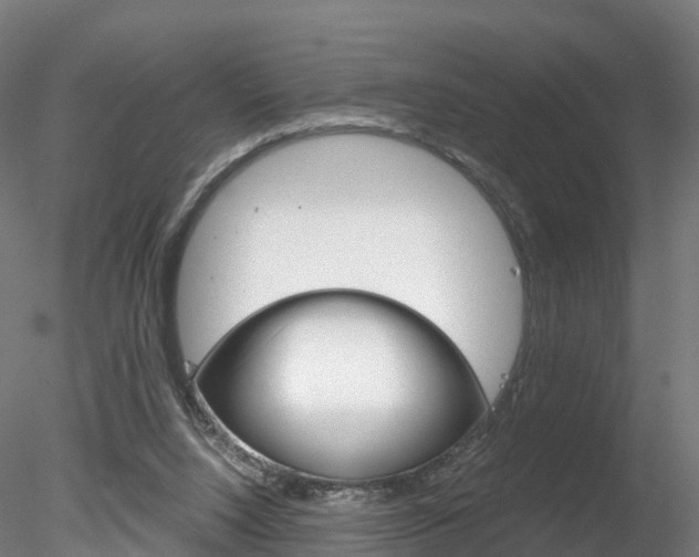 X0000078280064200611031027