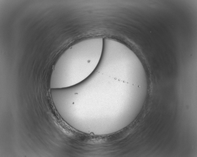 X0000078280065200611031027