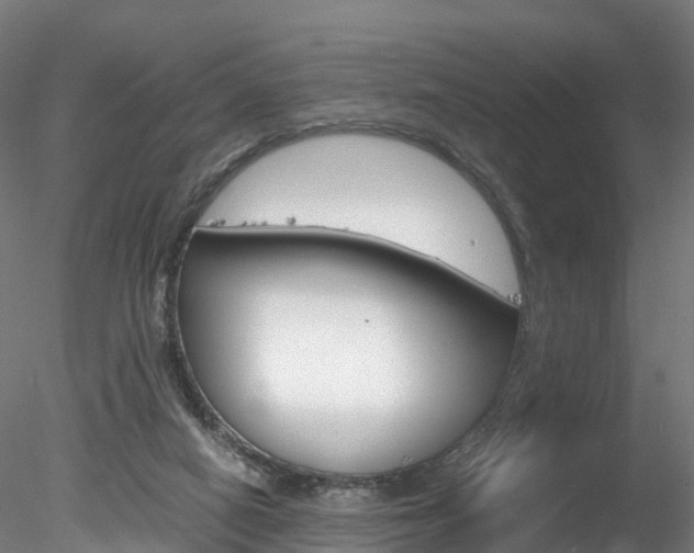 X0000078280066200611031027