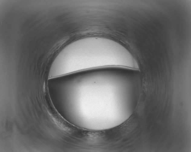 X0000078280070200611031027