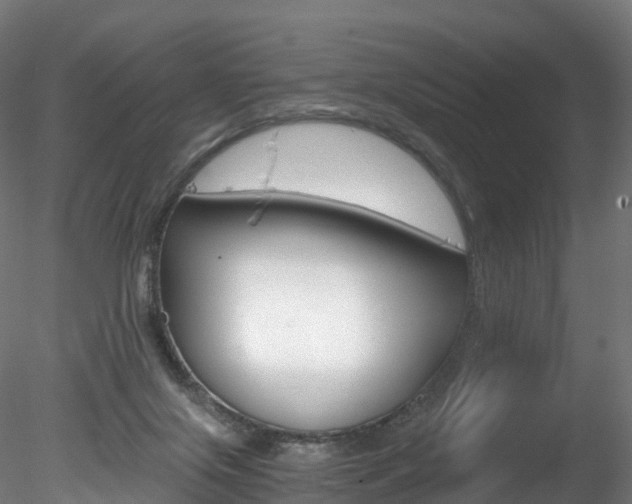 X0000078280071200611031027