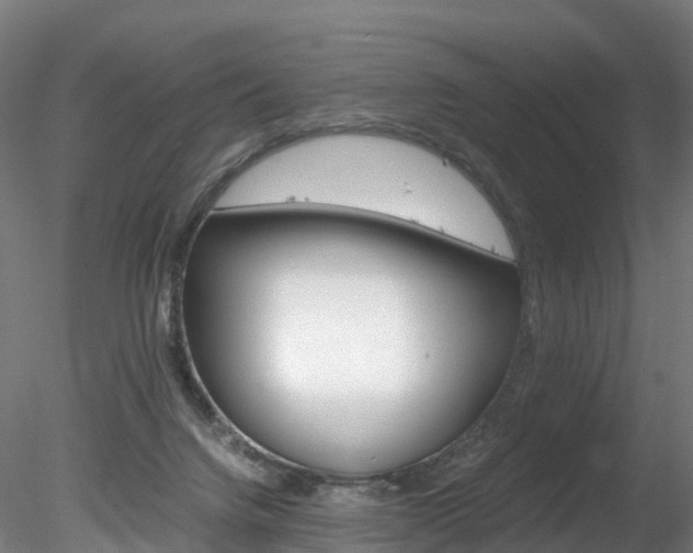 X0000078280072200611031027