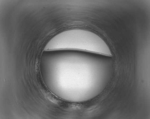 X0000078280073200611031027