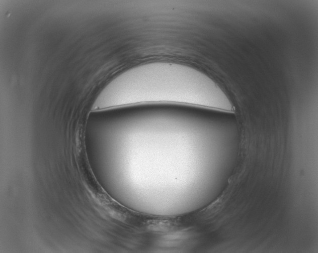 X0000078280074200611031027