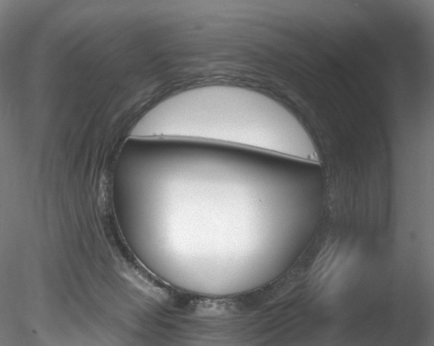 X0000078280077200611031027