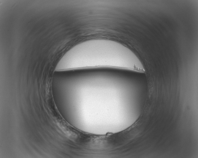 X0000078280078200611031027