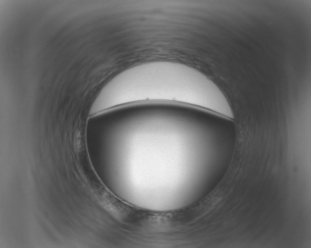 X0000078280080200611031027