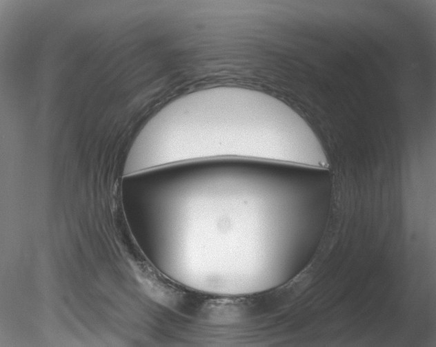 X0000078280082200611031027