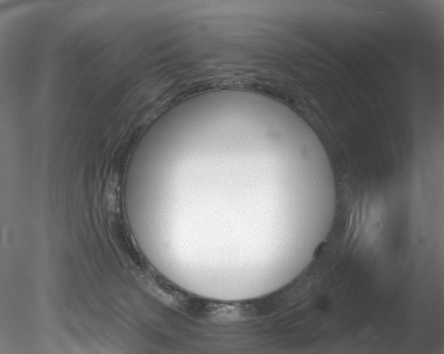 X0000078280083200611031027