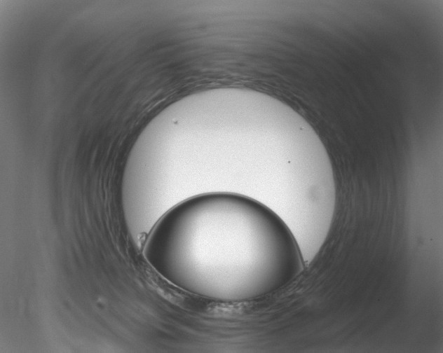 X0000078280084200611031027