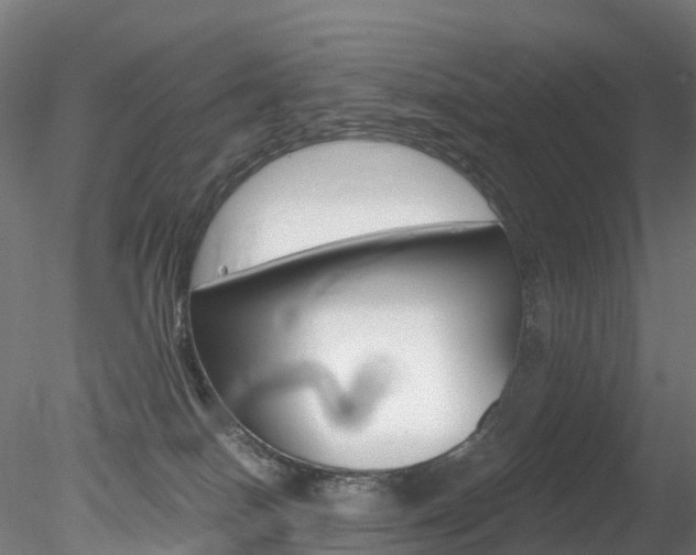 X0000078280086200611031027