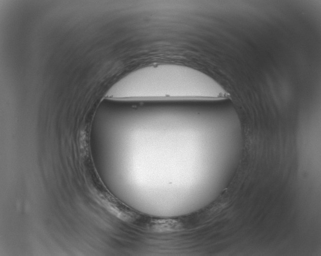 X0000078280087200611031027