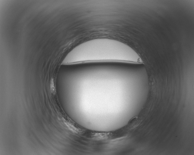 X0000078280089200611031027