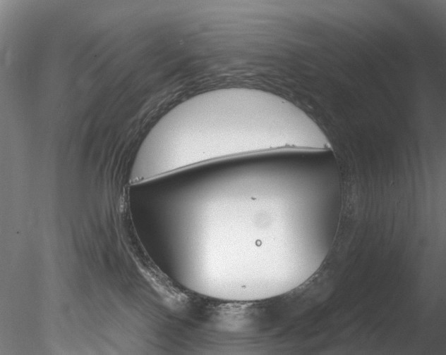 X0000078280090200611031028