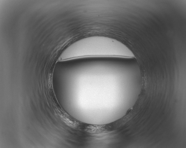 X0000078280093200611031028