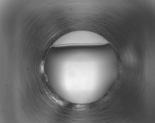 X0000078280095200611031028