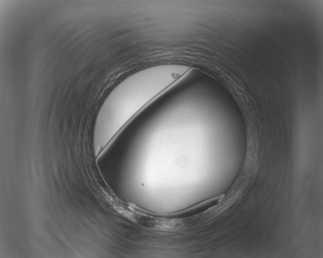 X0000078280096200611031028