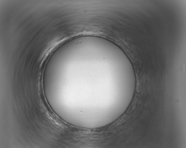 X0000078280098200611031027