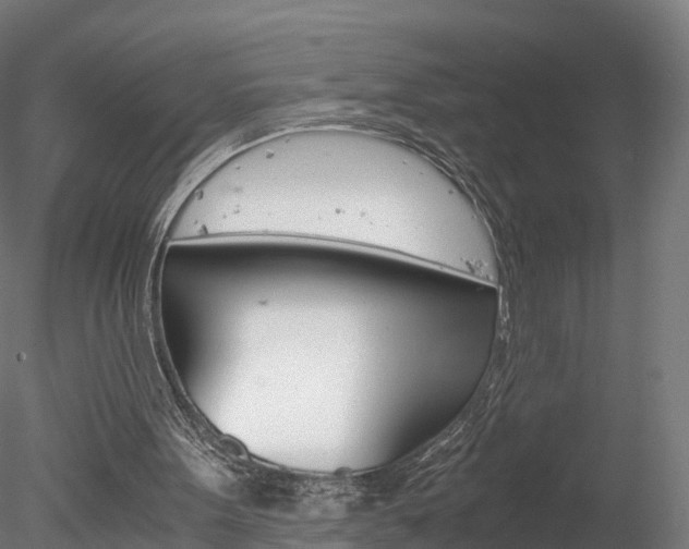 X0000078280099200611031027