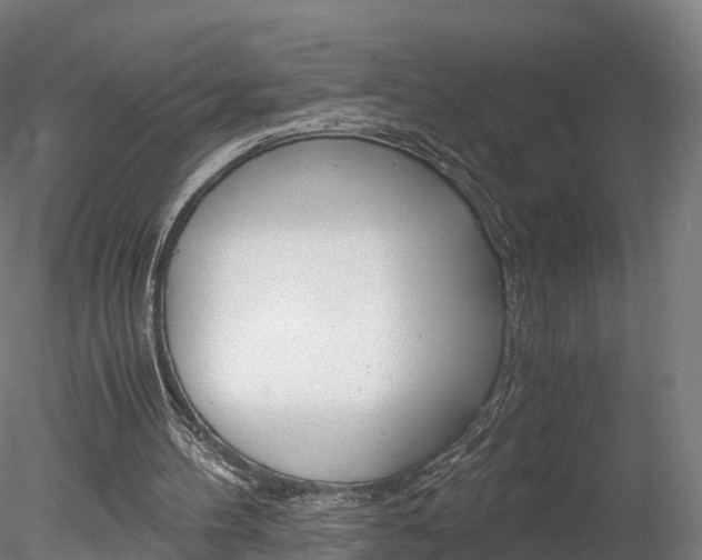 X0000078280100200611031027