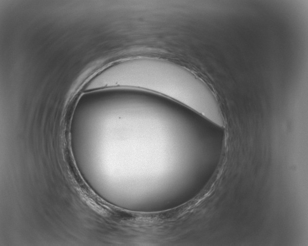 X0000078280101200611031027