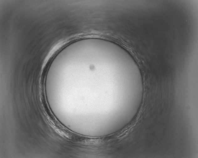 X0000078280102200611031027