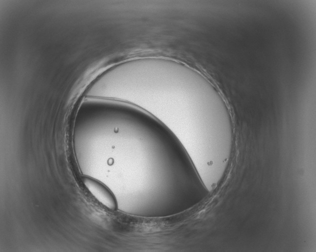 X0000078280103200611031027