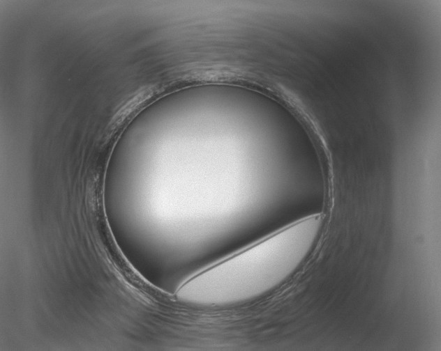 X0000078280105200611031027