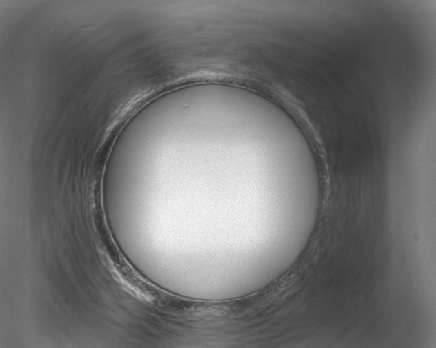 X0000078280106200611031027