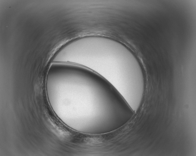 X0000078280107200611031027