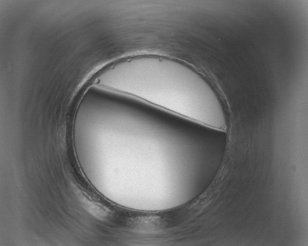 X0000078280108200611031027