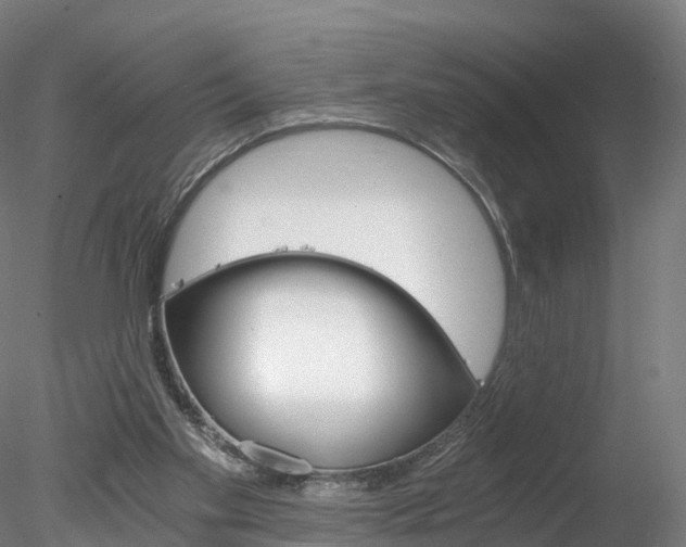 X0000078280109200611031027