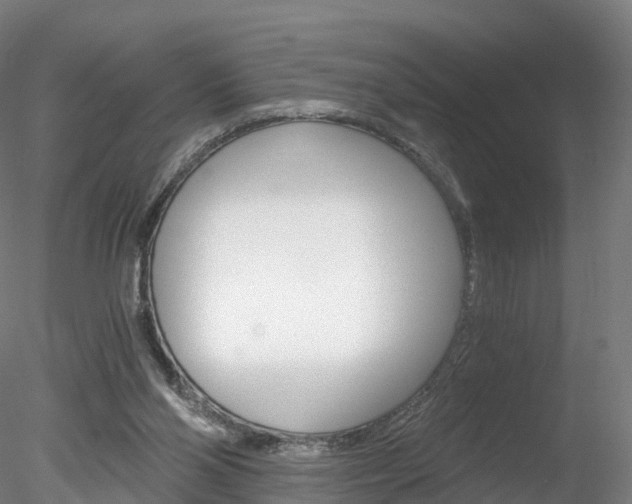 X0000078280110200611031027