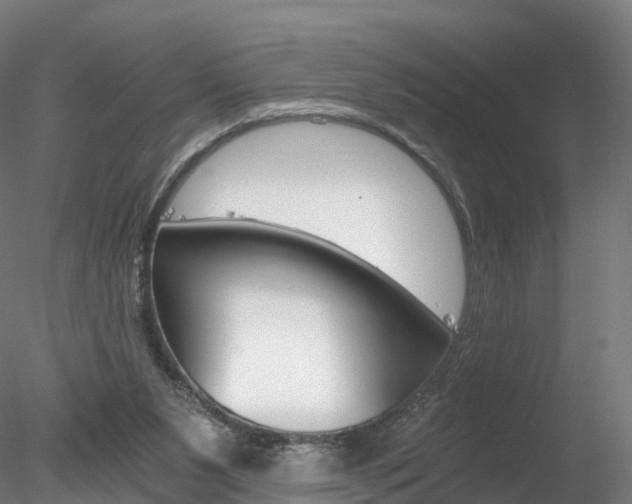 X0000078280111200611031027